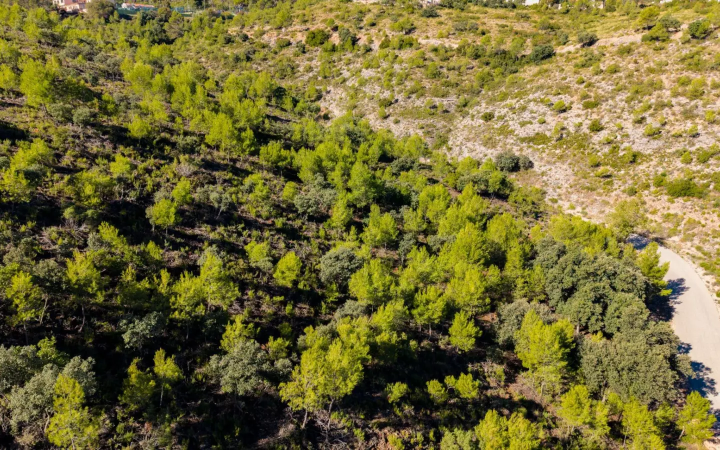 Urban Plot In Albalate De Zorita, Spain (60.853 M² Plot)