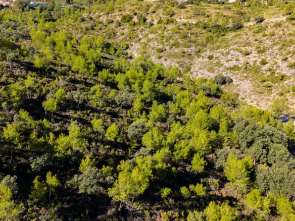 Urban Plot In Albalate De Zorita, Spain (60.853 M² Plot)