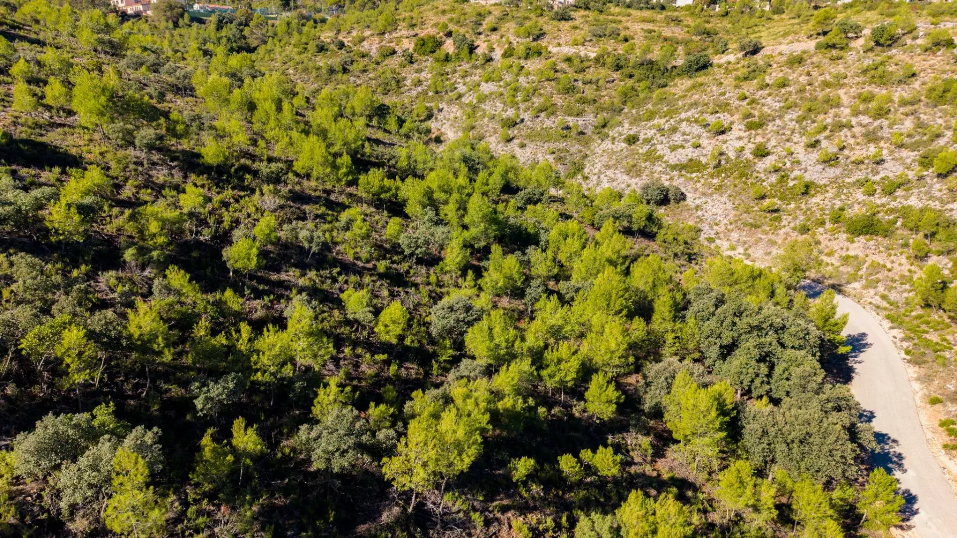Urban Plot In Albalate De Zorita, Spain (60.853 M² Plot)