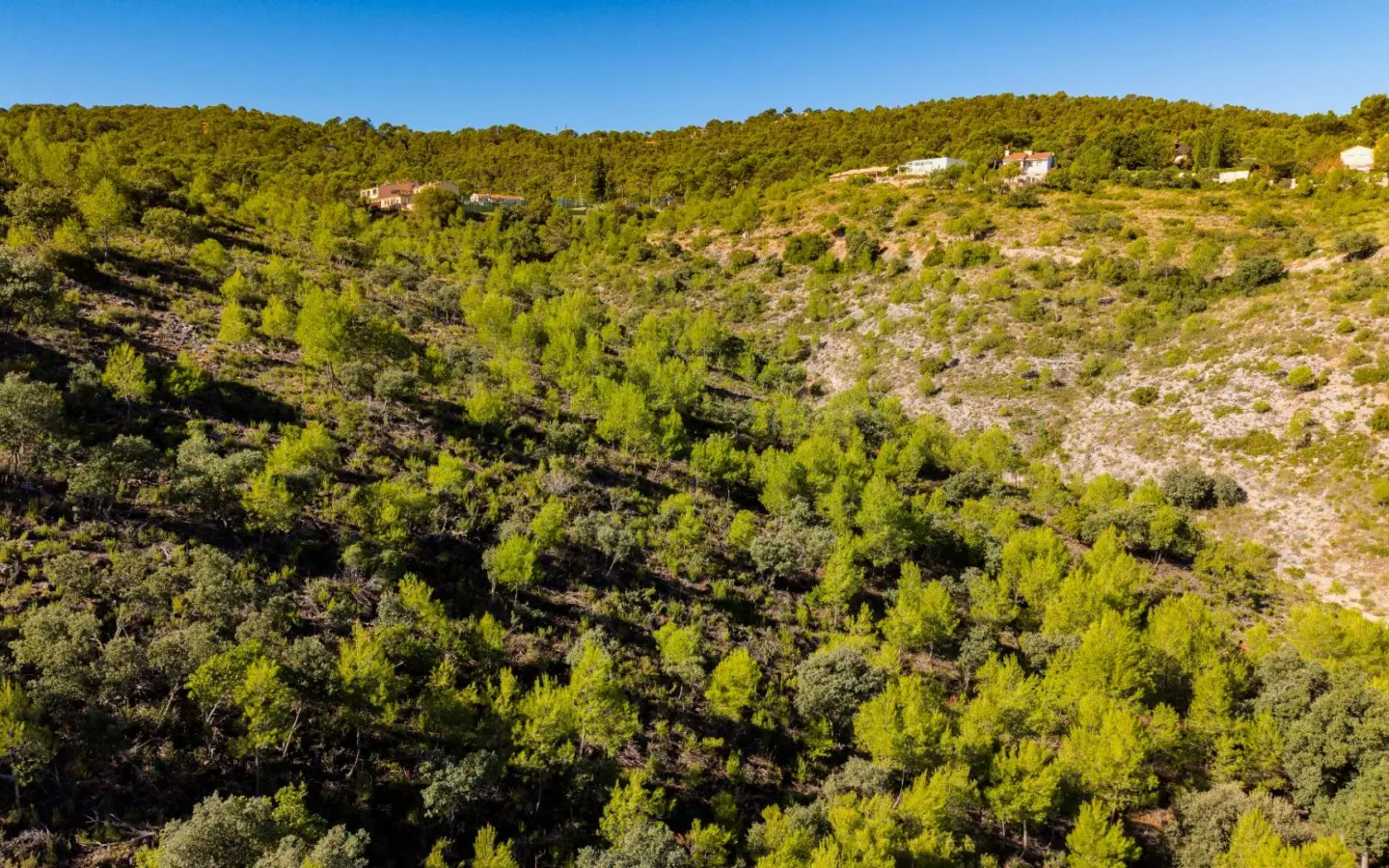 Urban Plot In Albalate De Zorita, Spain (60.853 M² Plot)
