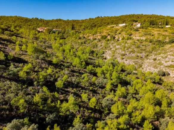 Urban Plot In Albalate De Zorita, Spain (60.853 M² Plot)