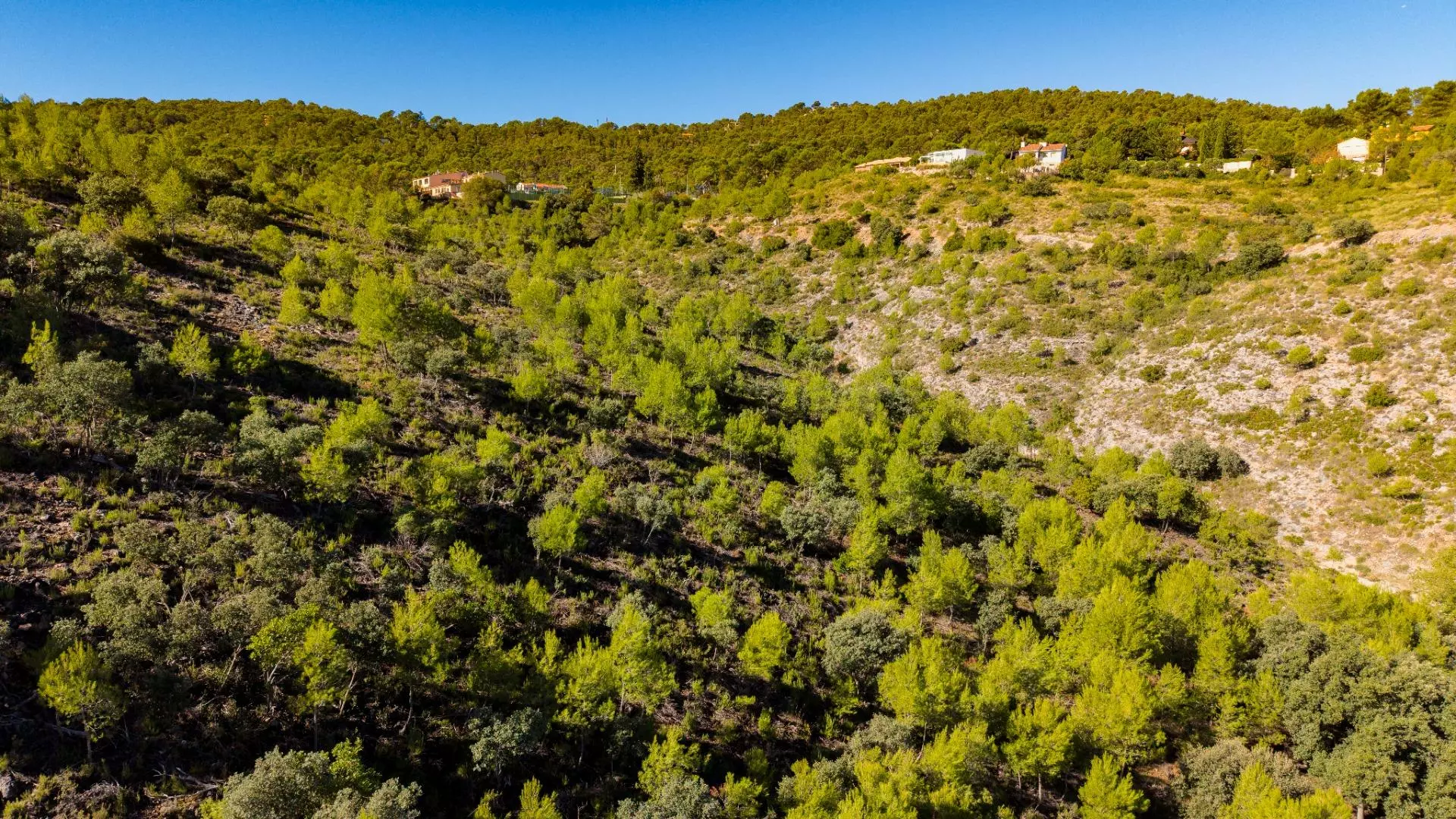 Urban Plot In Albalate De Zorita, Spain (60.853 M² Plot)
