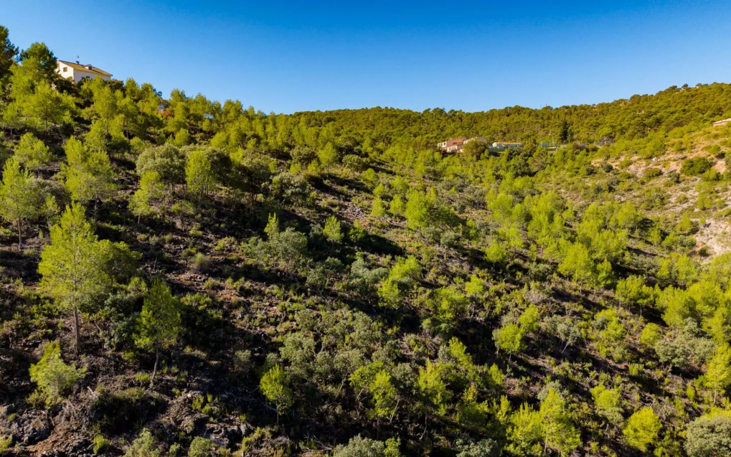 Urban Plot In Albalate De Zorita, Spain (60.853 M² Plot)