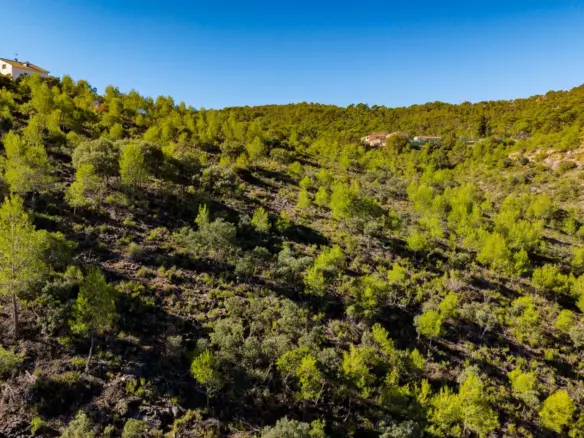 Urban Plot In Albalate De Zorita, Spain (60.853 M² Plot)