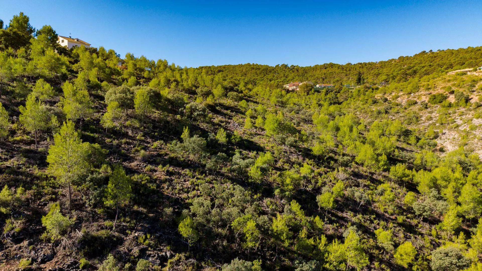 Urban Plot In Albalate De Zorita, Spain (60.853 M² Plot)