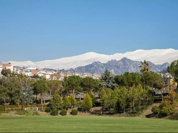 Urban Plot In Dilar, Spain (232 M²)