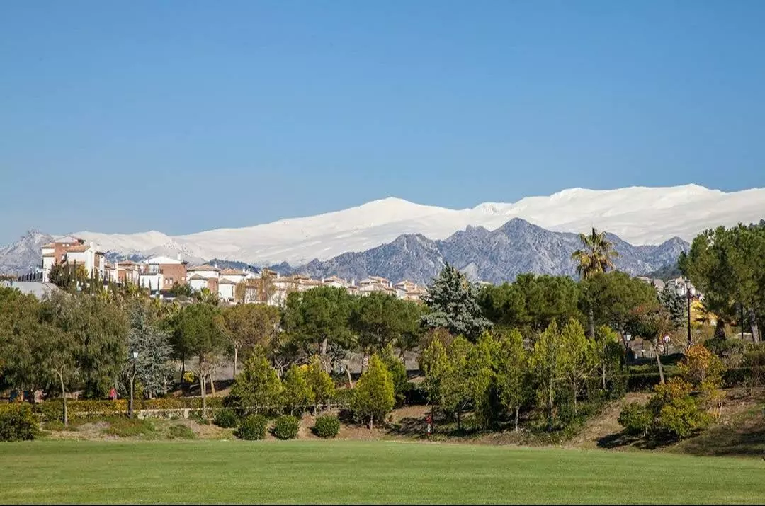 Urban Plot In Dilar, Spain (232 M²)