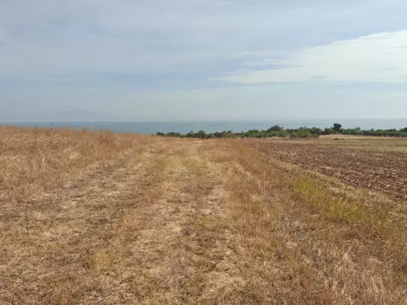 Land In Methoni, Greece