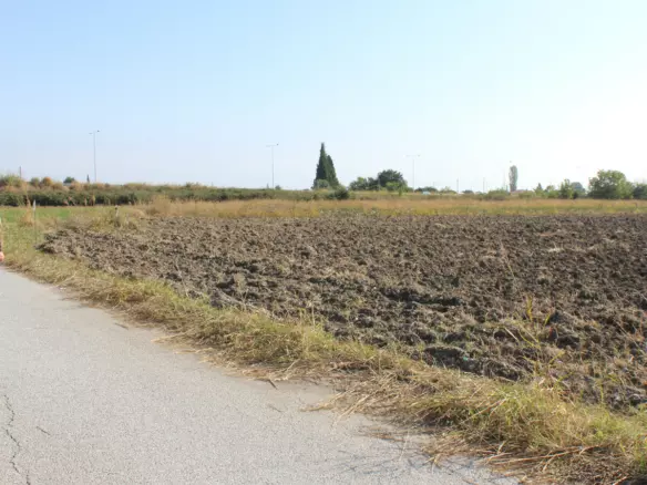 Land In Katerini, Greece
