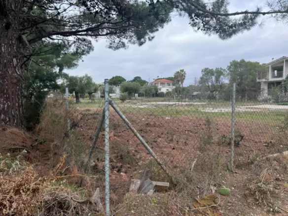 Land In Poligiros, Greece