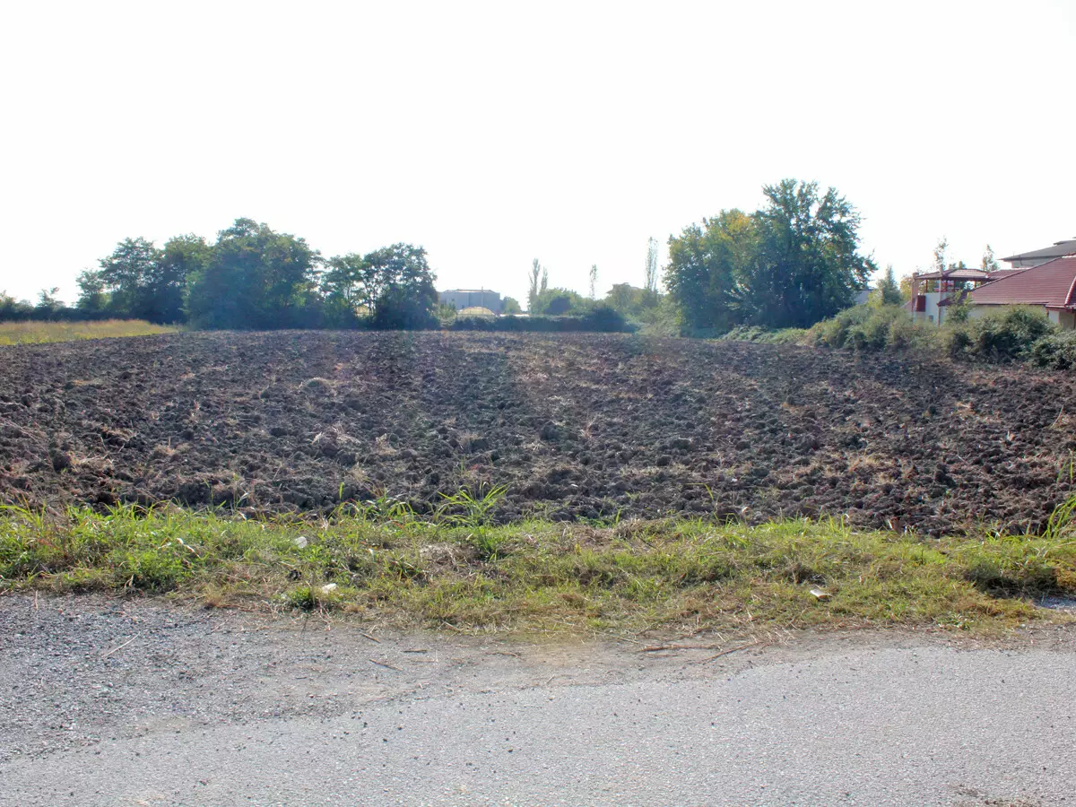 Land In Katerini, Greece