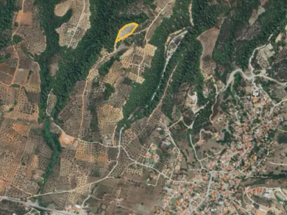 Land In Sithonia, Greece