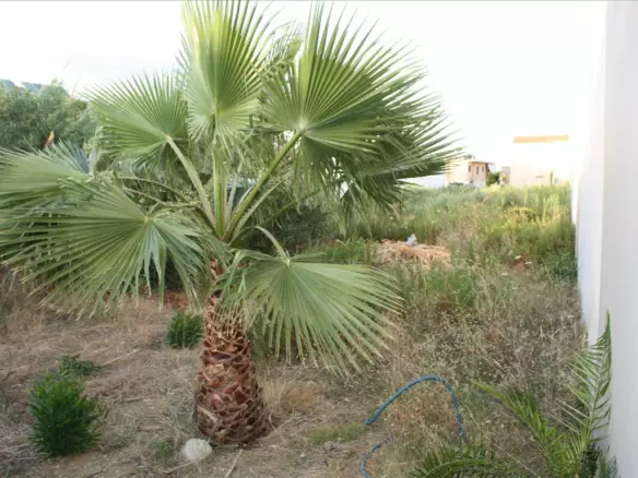Land In Chania, Greece