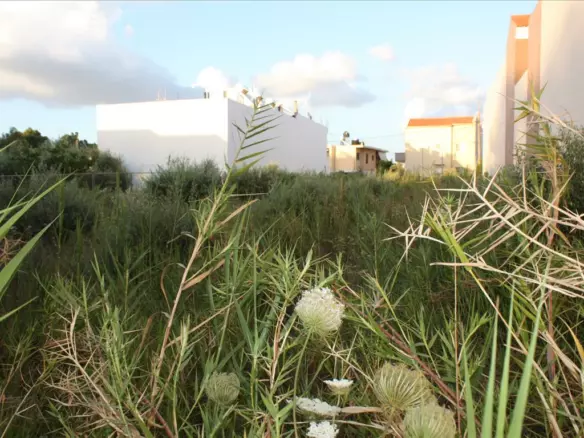 Land In Chania, Greece