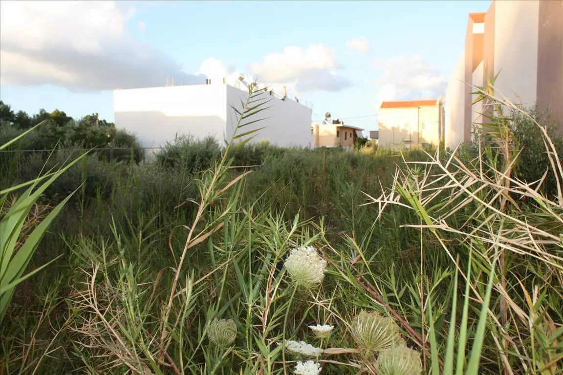 Land In Chania, Greece