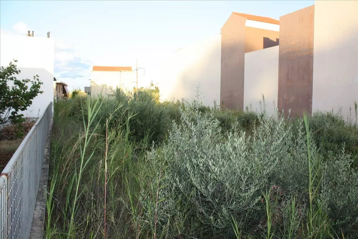 Land In Chania, Greece