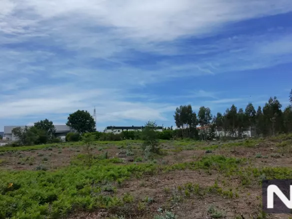 Industrial Land Near Avepark, Barco, Guimarães | Nci34