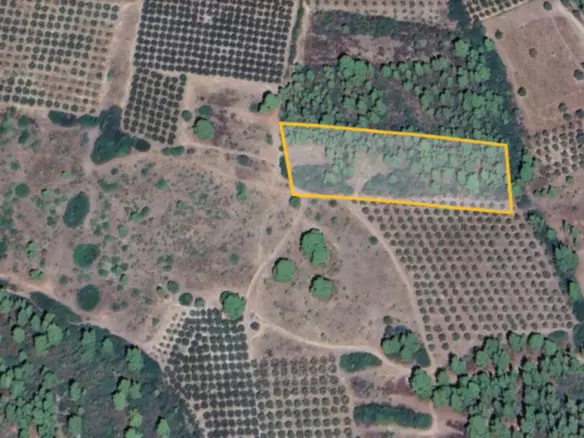 Land In Poligiros, Greece