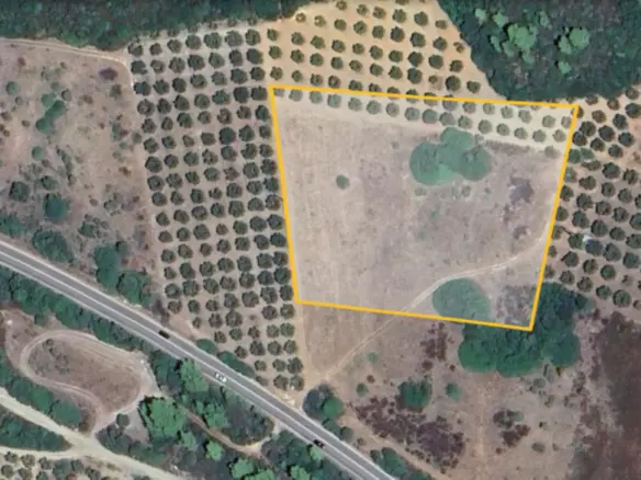 Land In Poligiros, Greece