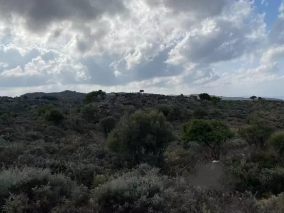Land In Keramia, Greece