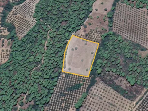 Land In Poligiros, Greece
