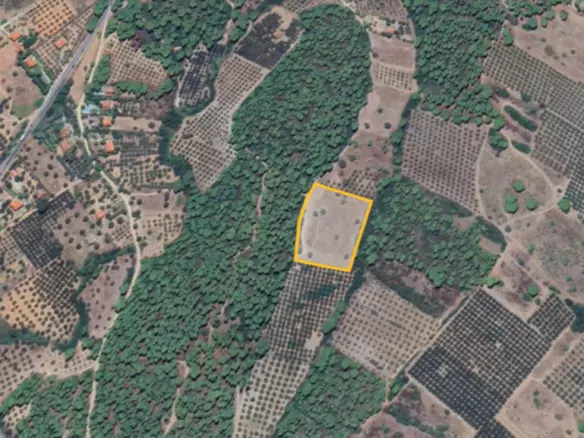 Land In Poligiros, Greece