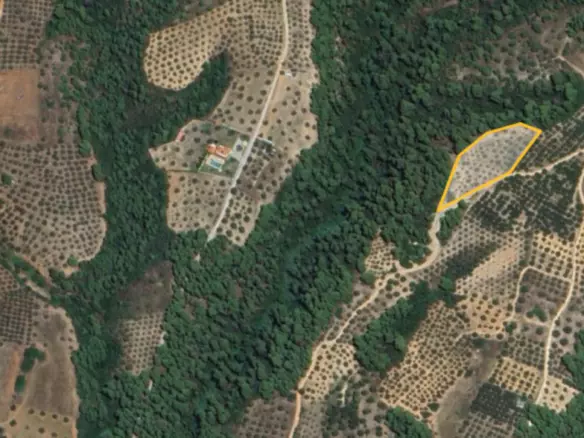 Land In Sithonia, Greece