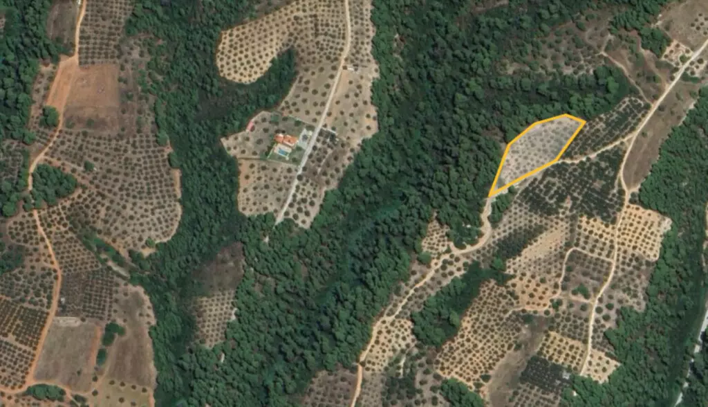 Land In Sithonia, Greece