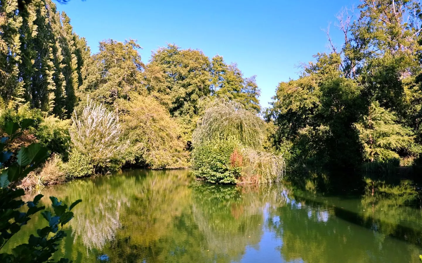 4-bedroom Mill In Champagne-mouton, France (153 M²)