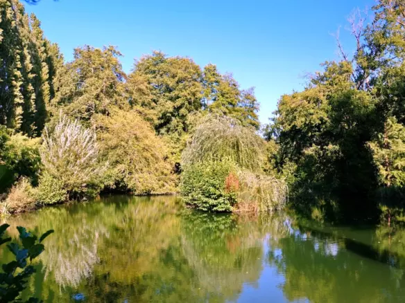 4-bedroom Mill In Champagne-mouton, France (153 M²)