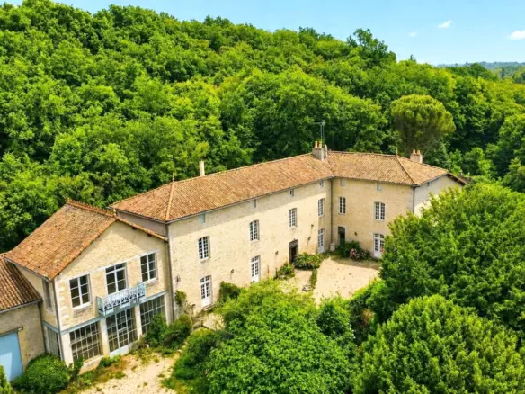 8-bedroom Manor House In Lizant, France (697 M²)