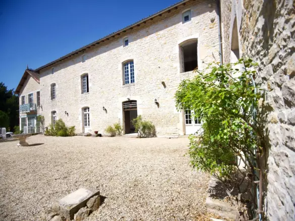 8-bedroom Manor House In Lizant, France (697 M²)