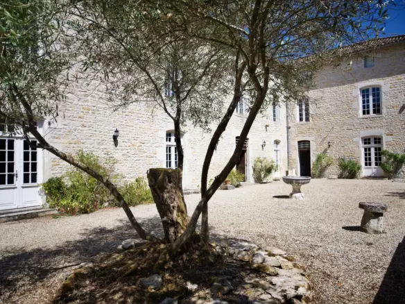 8-bedroom Manor House In Lizant, France (697 M²)