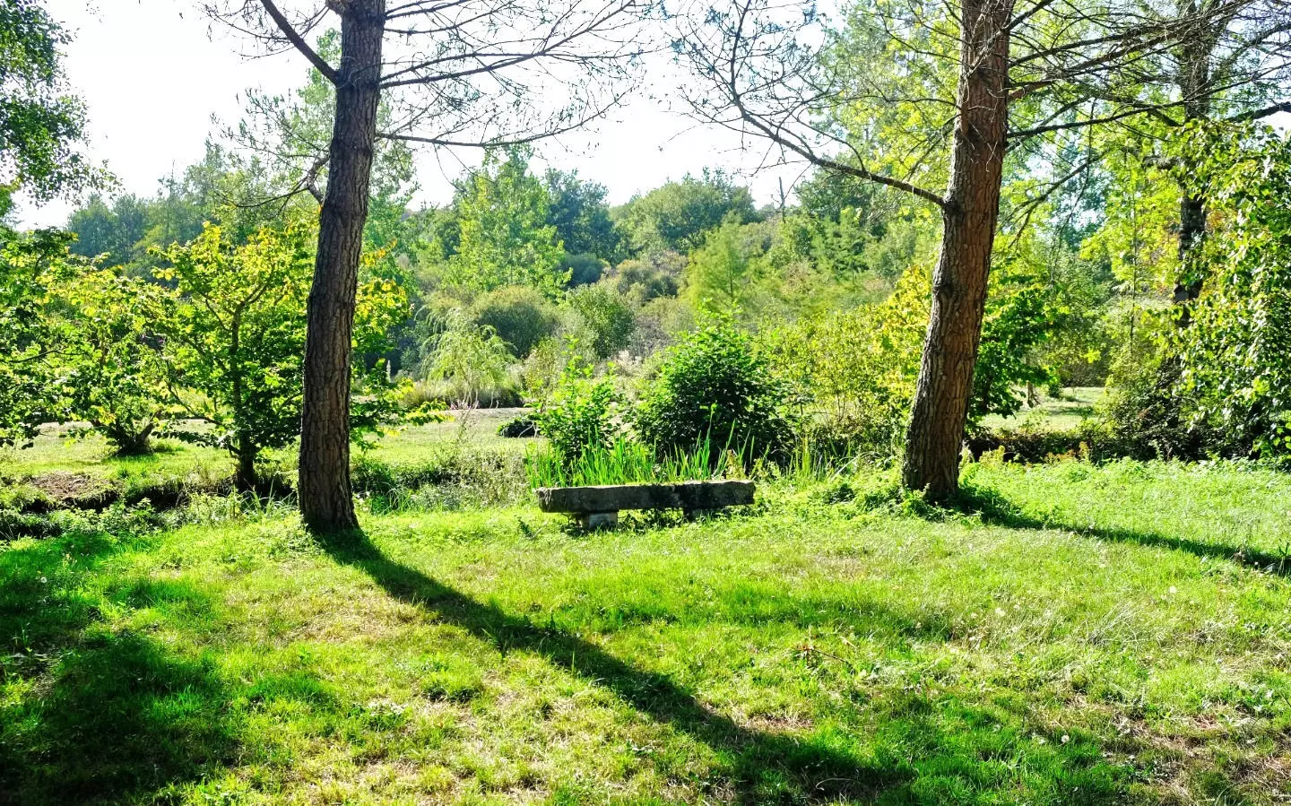 4-bedroom Mill In Champagne-mouton, France (153 M²)