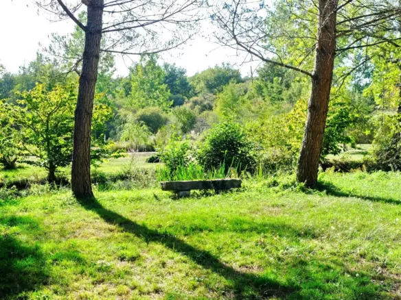 4-bedroom Mill In Champagne-mouton, France (153 M²)
