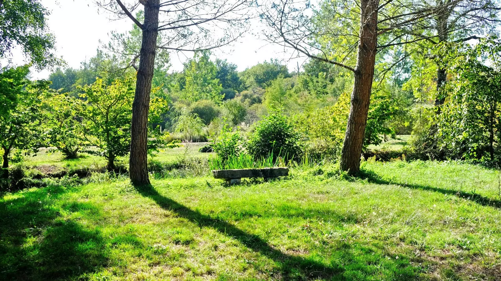 4-bedroom Mill In Champagne-mouton, France (153 M²)