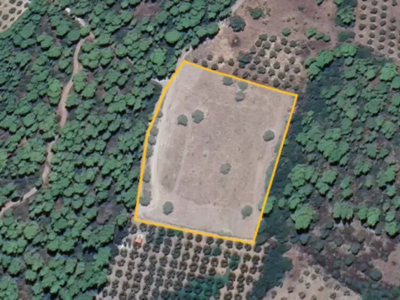 Land In Poligiros, Greece