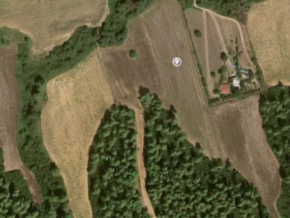 Land In Kassandra, Greece