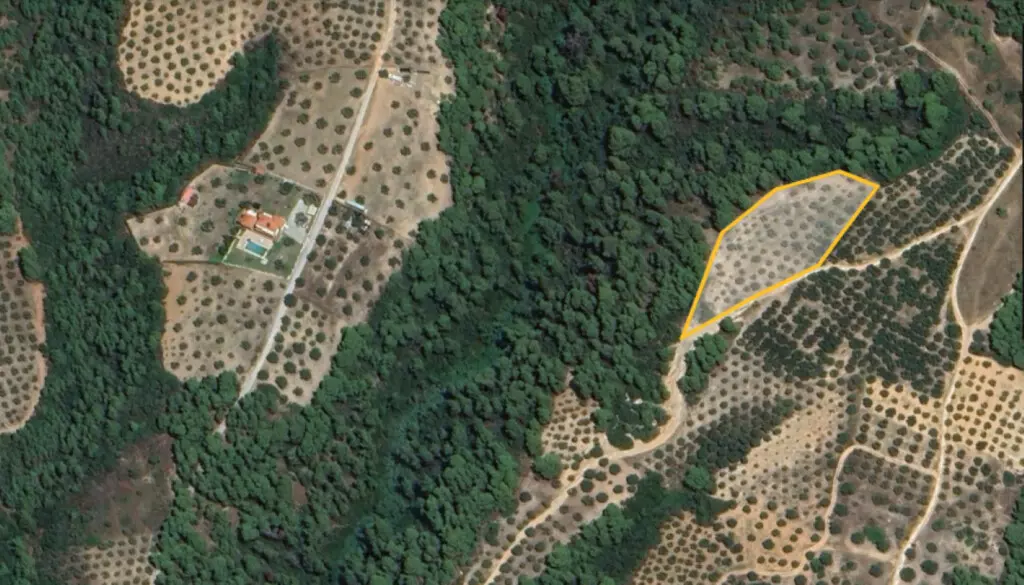 Land In Sithonia, Greece