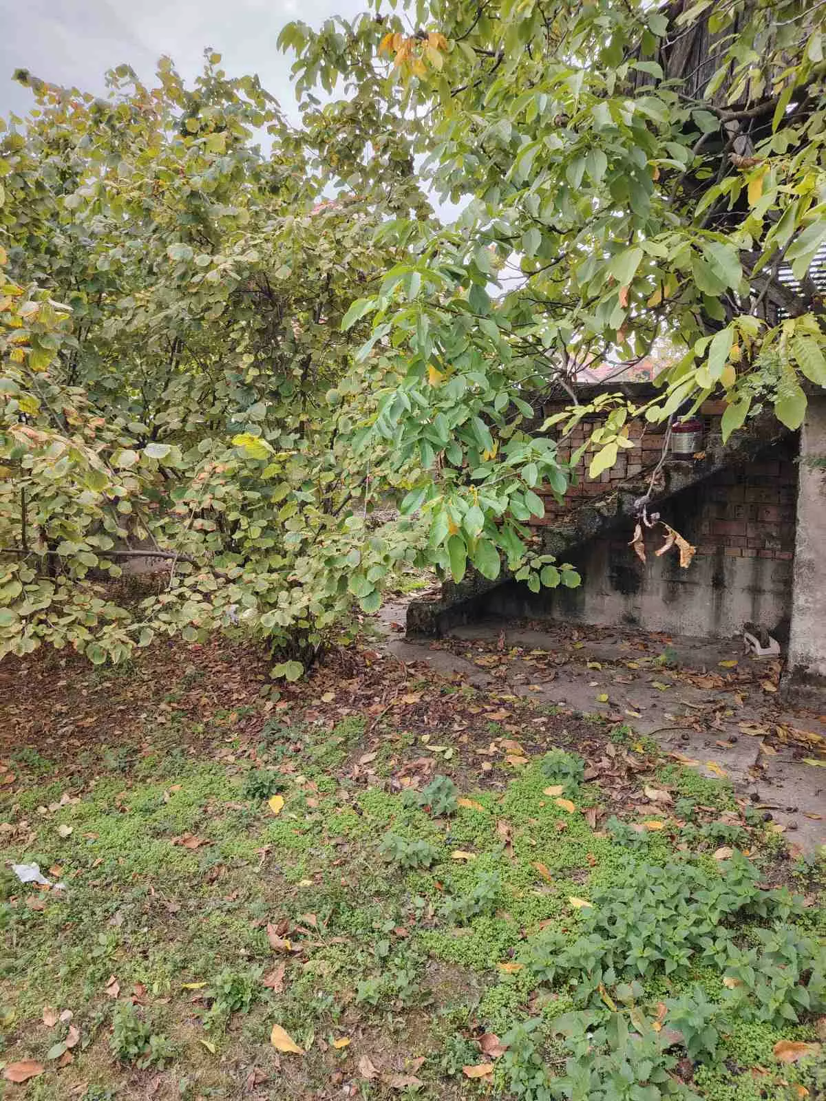 viber_slika_2026-10-26_14-48-49-259 House In Sremska Mitrovica, 70m2, Serbia