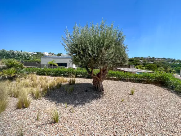 3-bedroom Villa In Orihuela, Spain (310 M²)