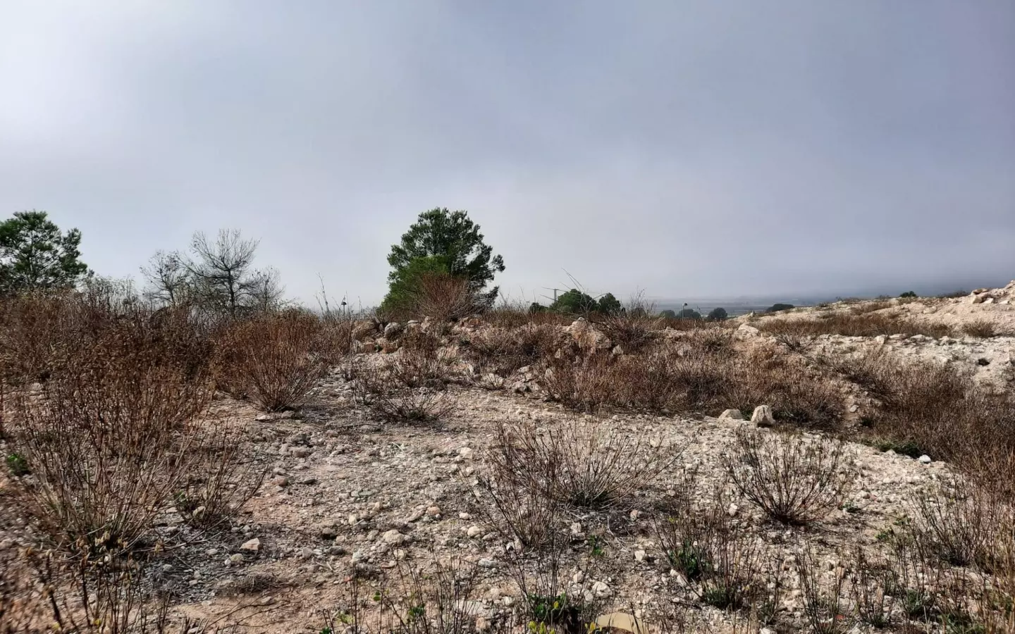 Land In Salinas, Spain (600 M² Plot)
