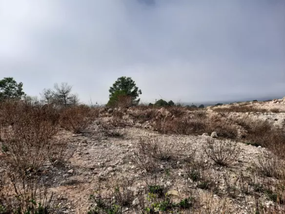 Land In Salinas, Spain (600 M² Plot)