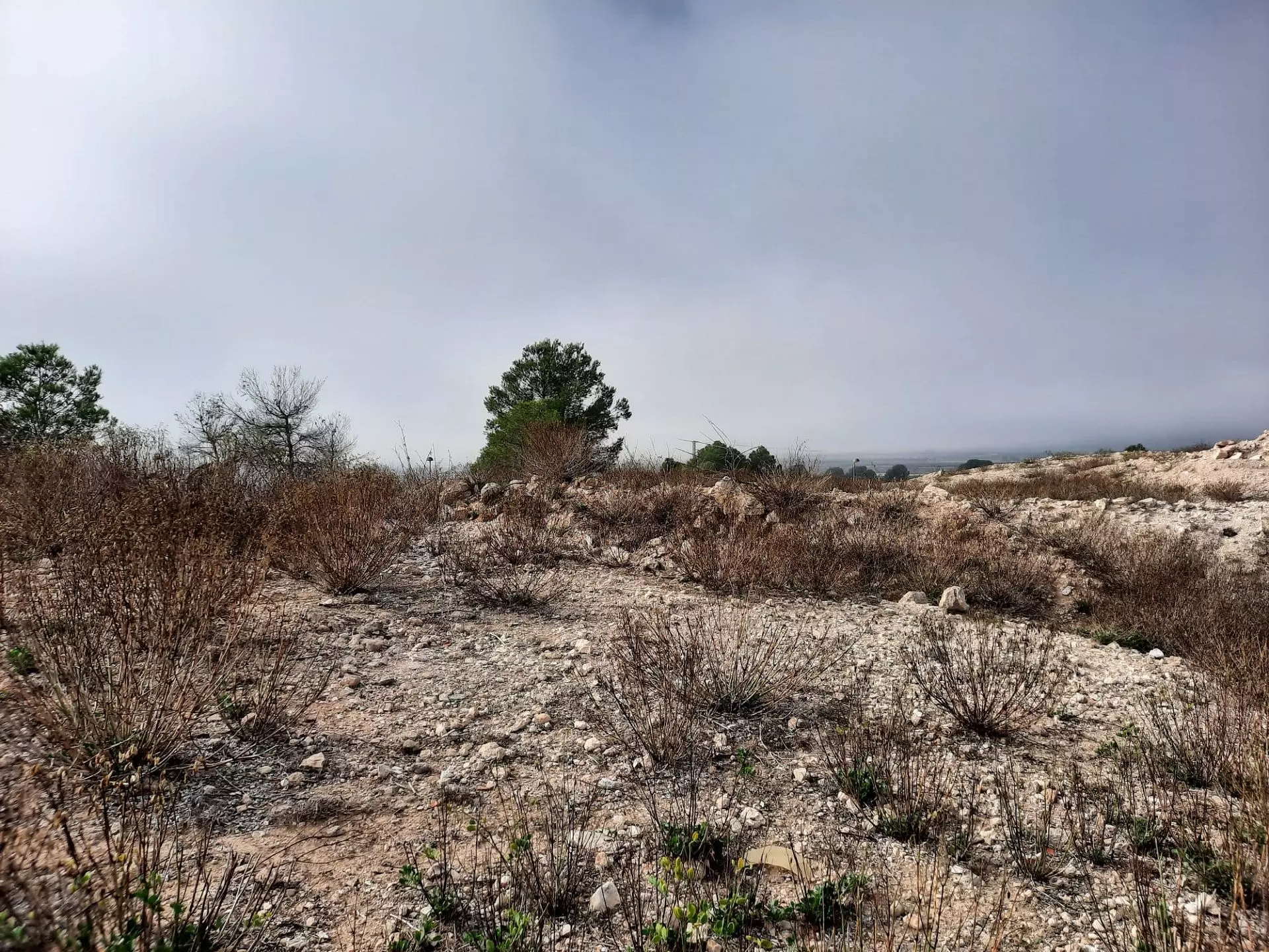 w_whatsapp-image-2026-10-29-at-11.16.57-1–02407f Land In Salinas, Spain (600 M² Plot)