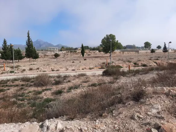 Land In Salinas, Spain (600 M² Plot)