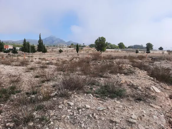 Land In Salinas, Spain (600 M² Plot)
