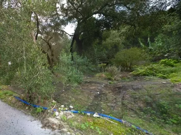 Land In Paxoi, Greece