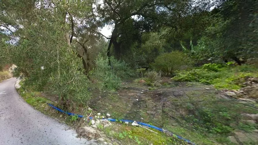 Land In Paxoi, Greece