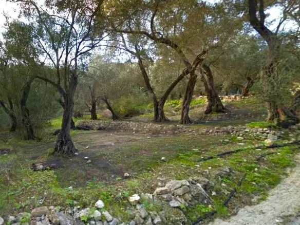 Land In Paxoi, Greece
