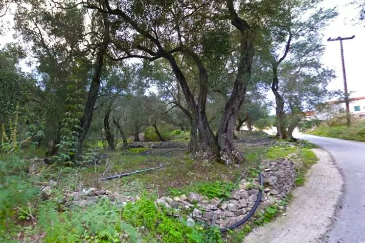 Land In Paxoi, Greece